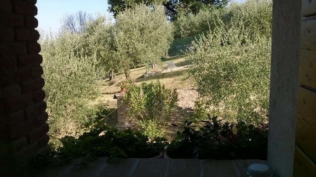 Agriturismo La Cantina San Martino Assisi Eksteriør bilde